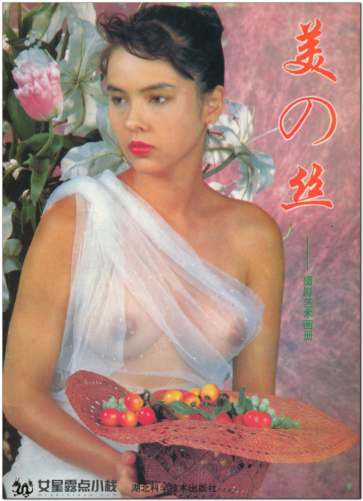 美の丝 摄影艺术画册