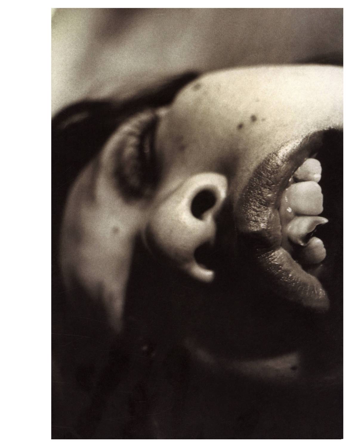 Araki : Impossible Love