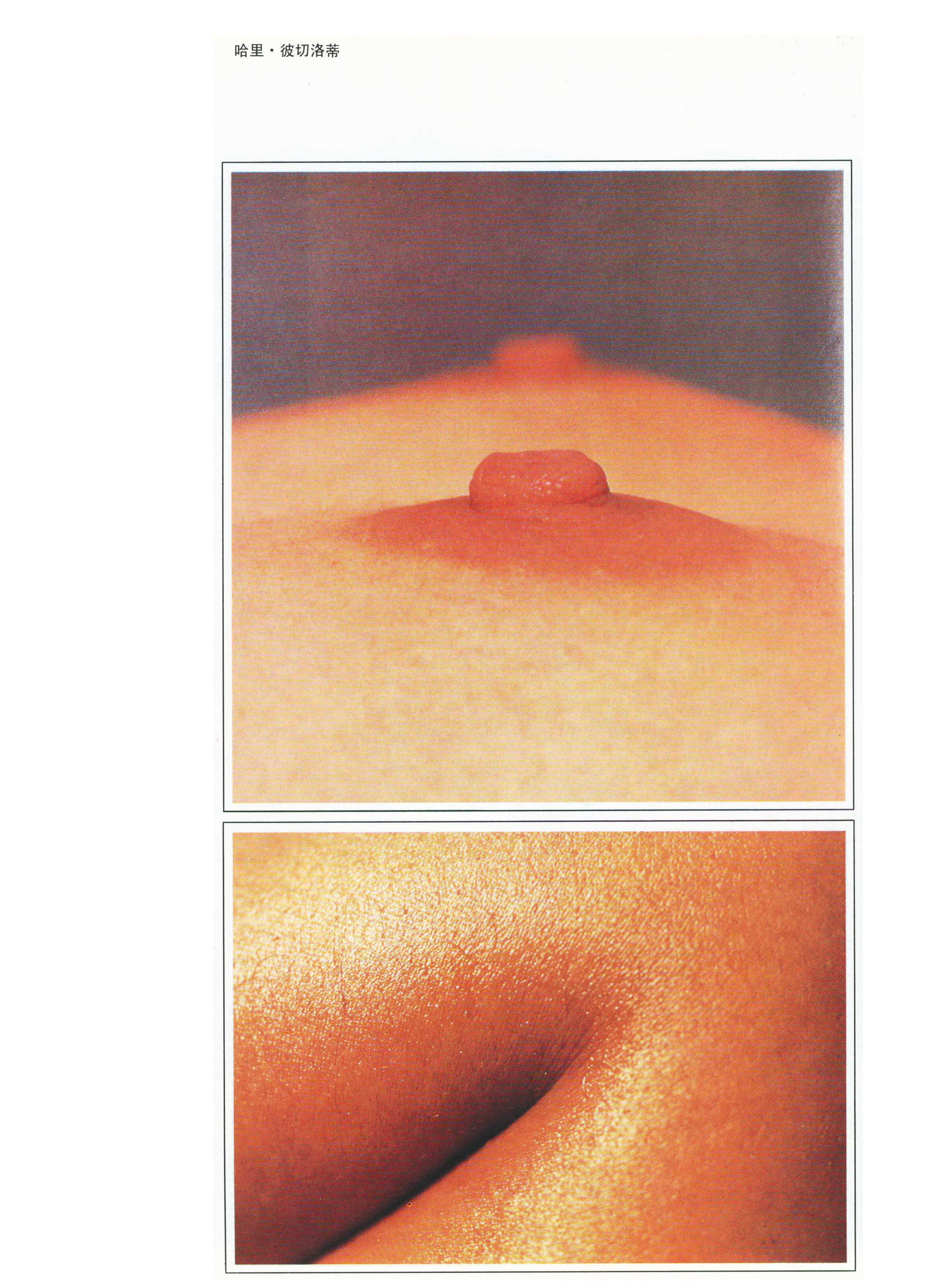 世界著名摄影家