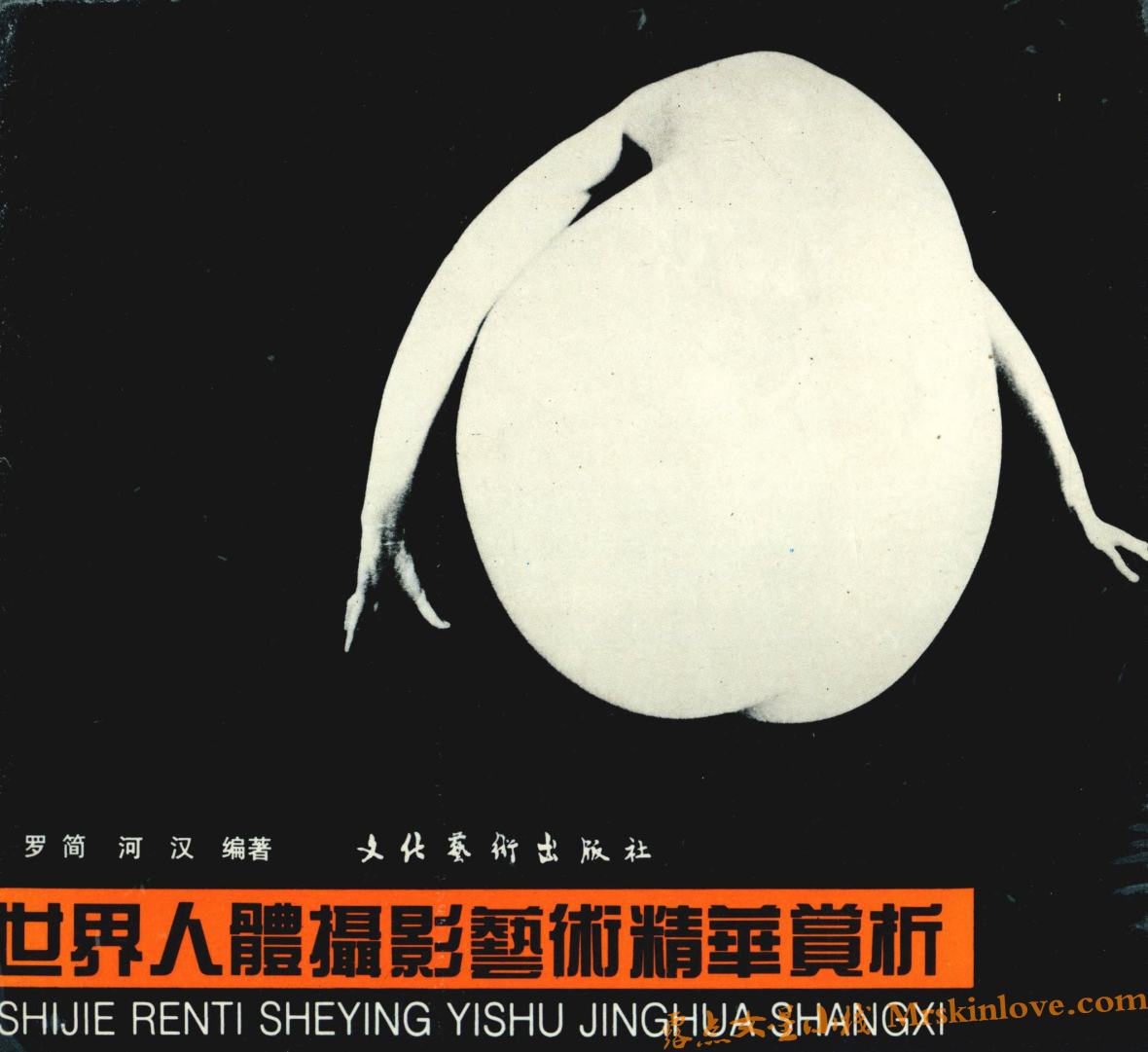 世界人体摄影艺术精华赏析